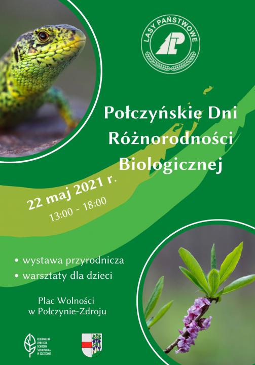 Piknik odbędzie się w sobotę 22 maja od godziny 13:00 na Placu Wolności w Połczynie-Zdroju