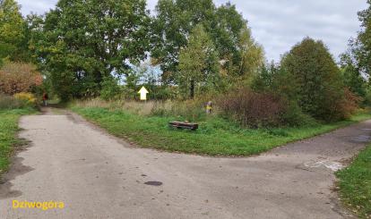 Dziwogóra
