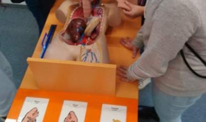 Nauka anatomii
