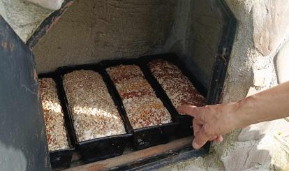 Warsztaty pieczenia chleba w Kołaczu