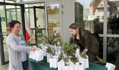 Pani Marta Drzewiecka podczas odebrania sadzonek w nadleśnictwie w Połczynie-Zdroju