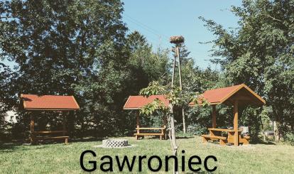 Gawroniec, fot. Aneta Wasilewska