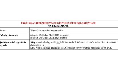 OSTRZEŻENIE METEOROLOGICZNE 31.10.2024 R.-02.11.2024 R. MOŻLIWY SILNY WIATR