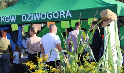 Gminno- Parafialne Święto Plonów - Dożynki 2025