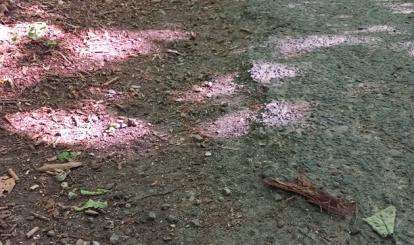 Stan nawierzchni przed remontem