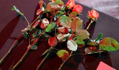 Gala Sportu i Kultury Połczyn-Zdrój 2026