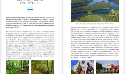 Przewodnik ,,Połczyn- Zdrój i okolice''