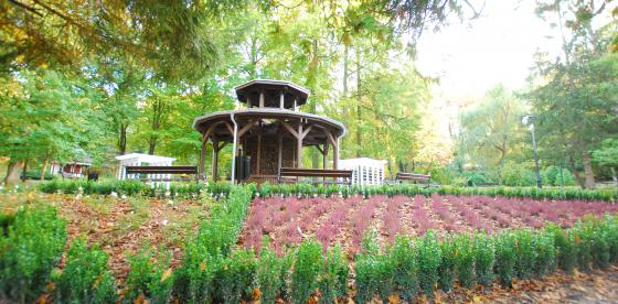 Park zdrojowy 1