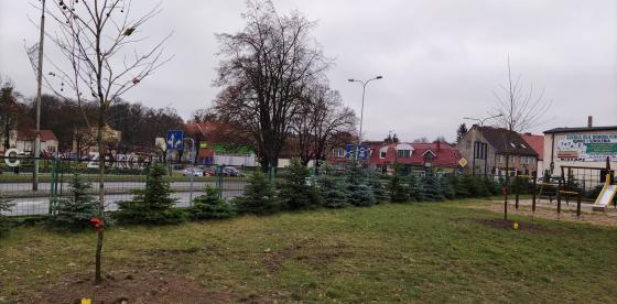 Bardziej zielono w regionie