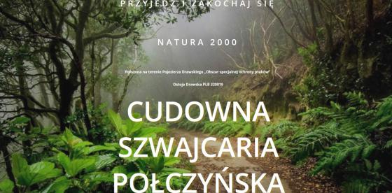 Bukowy Jar- promocja