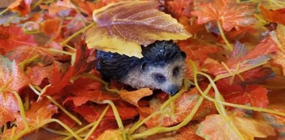 „A wśród liści jeżyk śpi”