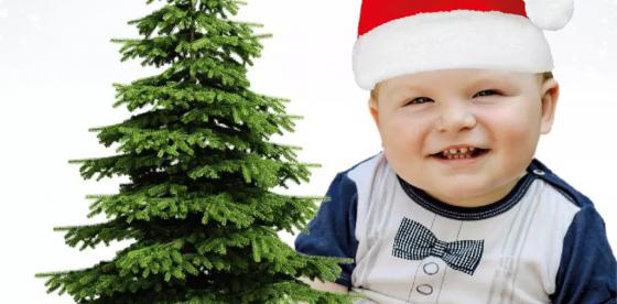 Plakat kup drzewko - pomóż Kajtusiowi