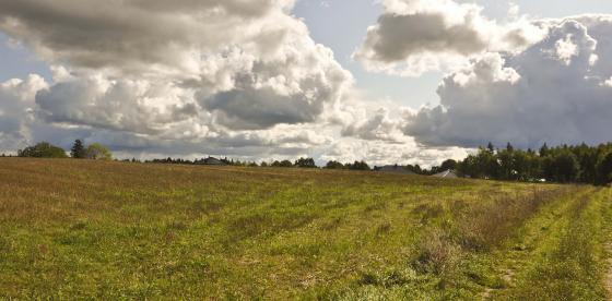 Powstańców Warszawskich