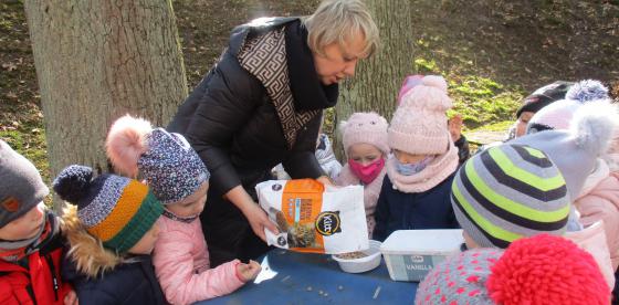 Pamiętamy o bezdomnych kotach i psach