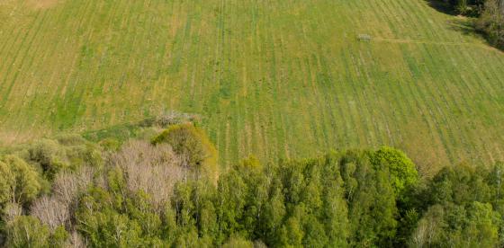 Ziemia rolna. Zdjęcie poglądowe.
