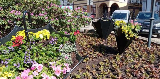 Kwietnik przy Grunwaldzkiej