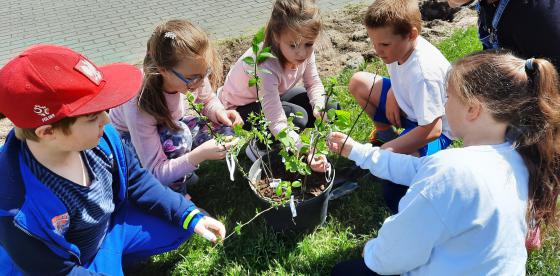Dzieci uczą się rozpoznawać gatunki drzew i krzewów