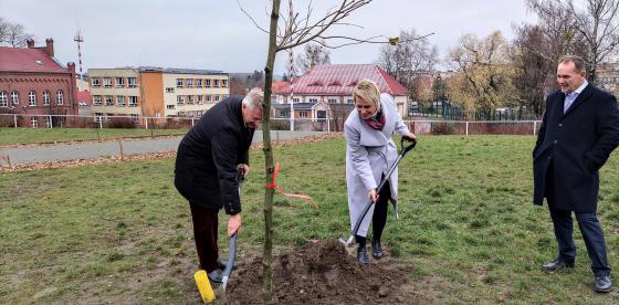 Moment sadzenia drzewek przy SP 1