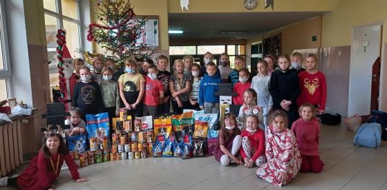 Pomogli psiakom ze schroniska  