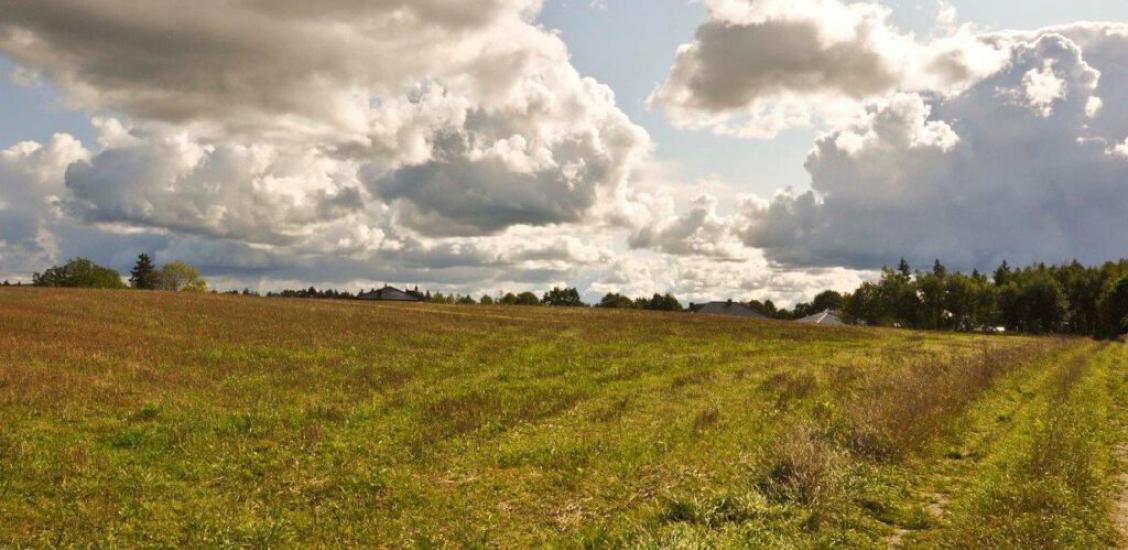 Powstańców Warszawskich – działki przy samym uzdrowisku