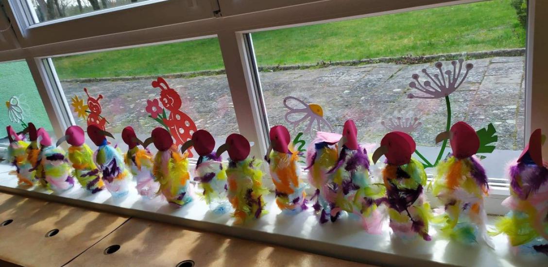 Do grupy Żuczków przyleciały kolorowe papugi