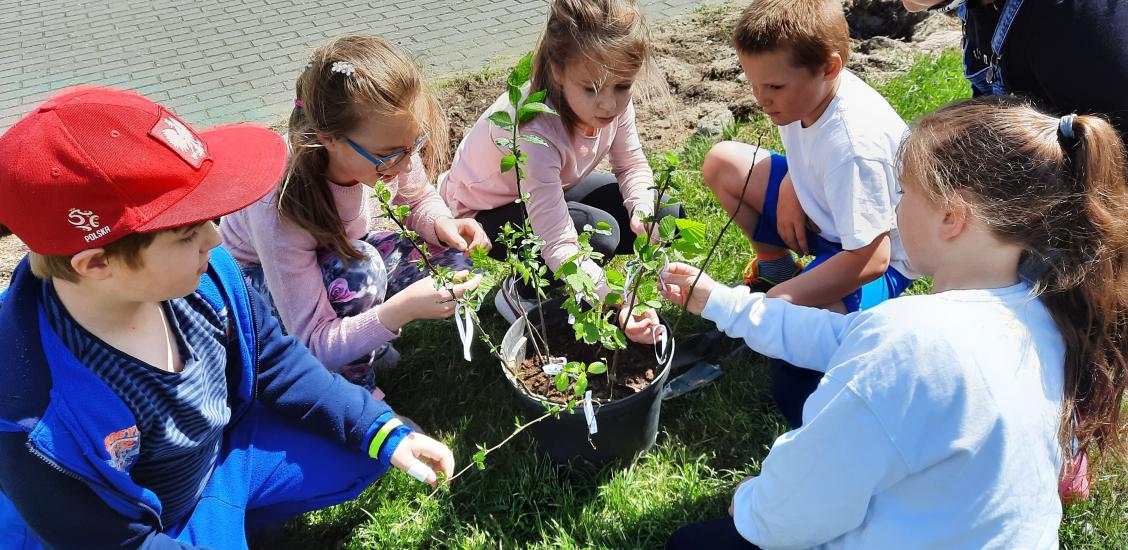 Dzieci uczą się rozpoznawać gatunki drzew i krzewów