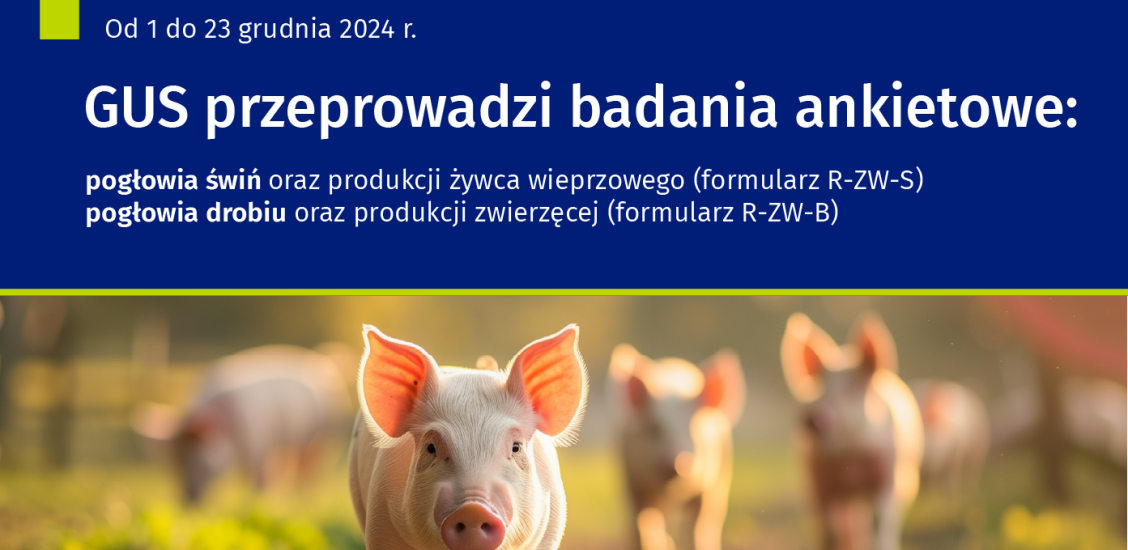Badanie ankietowe- plakat